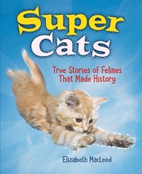 bokomslag Super Cats
