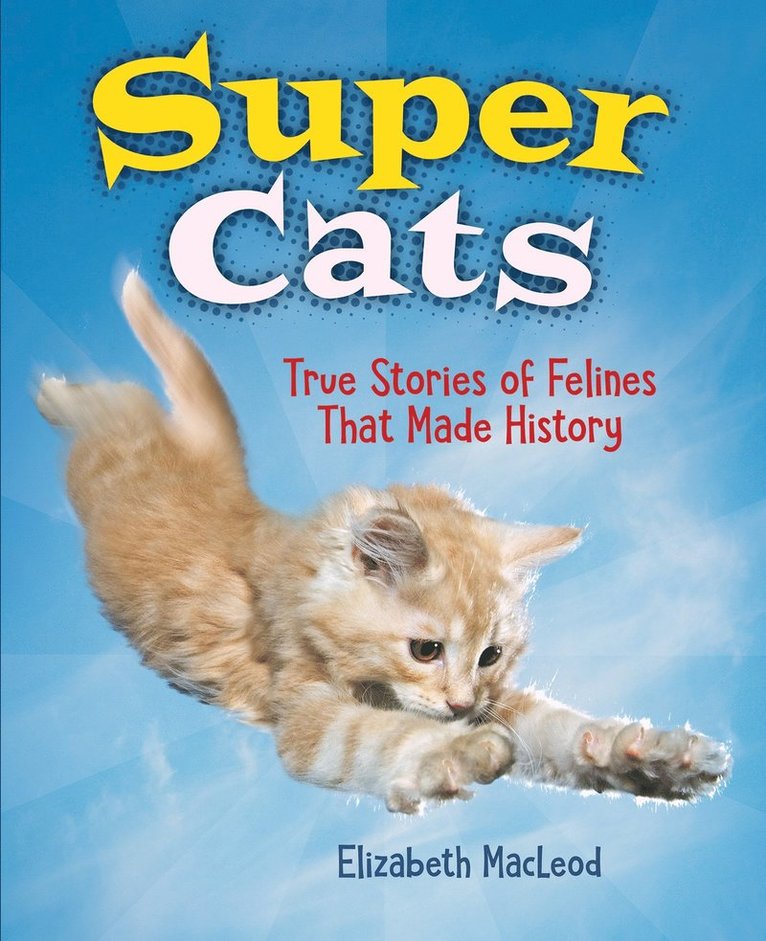 Super Cats 1