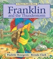 bokomslag Franklin And The Thunderstorm
