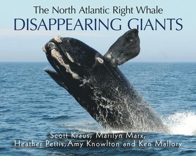 bokomslag Disappearing Giants: The North Atlantic Right Whale