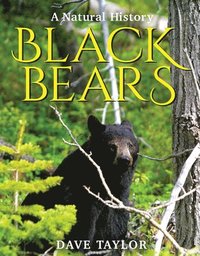 bokomslag Black Bears: A Natural History