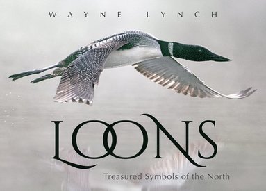 Wayne Lynch - Loons: Treasured Symbols of the North, Häftad