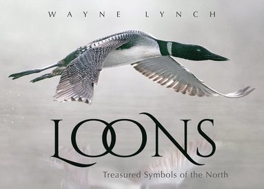 bokomslag Loons: Treasured Symbols of the North