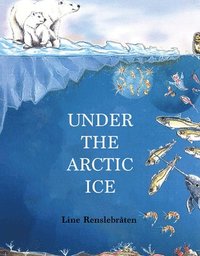bokomslag Under the Arctic Ice