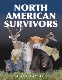bokomslag North American Survivors