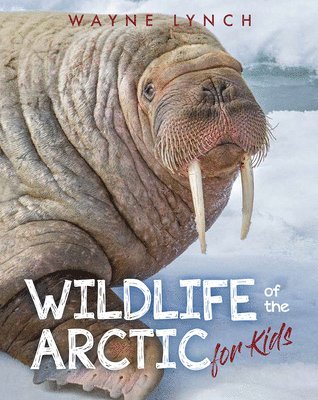 Wayne Lynch - Wildlife of the Arctic for Kids, Häftad