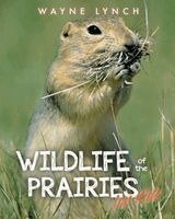 Wayne Lynch - Wildlife of the Prairies for Kids, Häftad