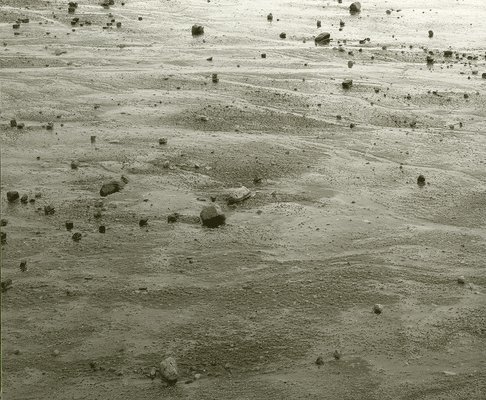 The Nature of Nature 1