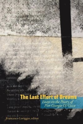 The Last Effort of Dreams 1