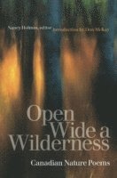 bokomslag Open Wide a Wilderness