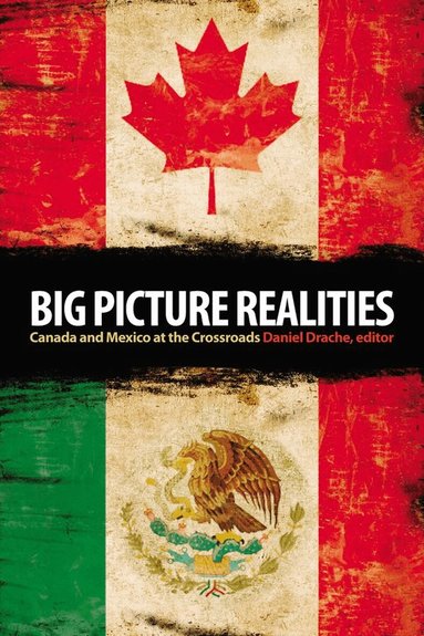 Daniel Drache - Big Picture Realities, Häftad