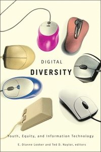 bokomslag Digital Diversity