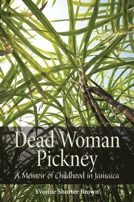 bokomslag Dead Woman Pickney