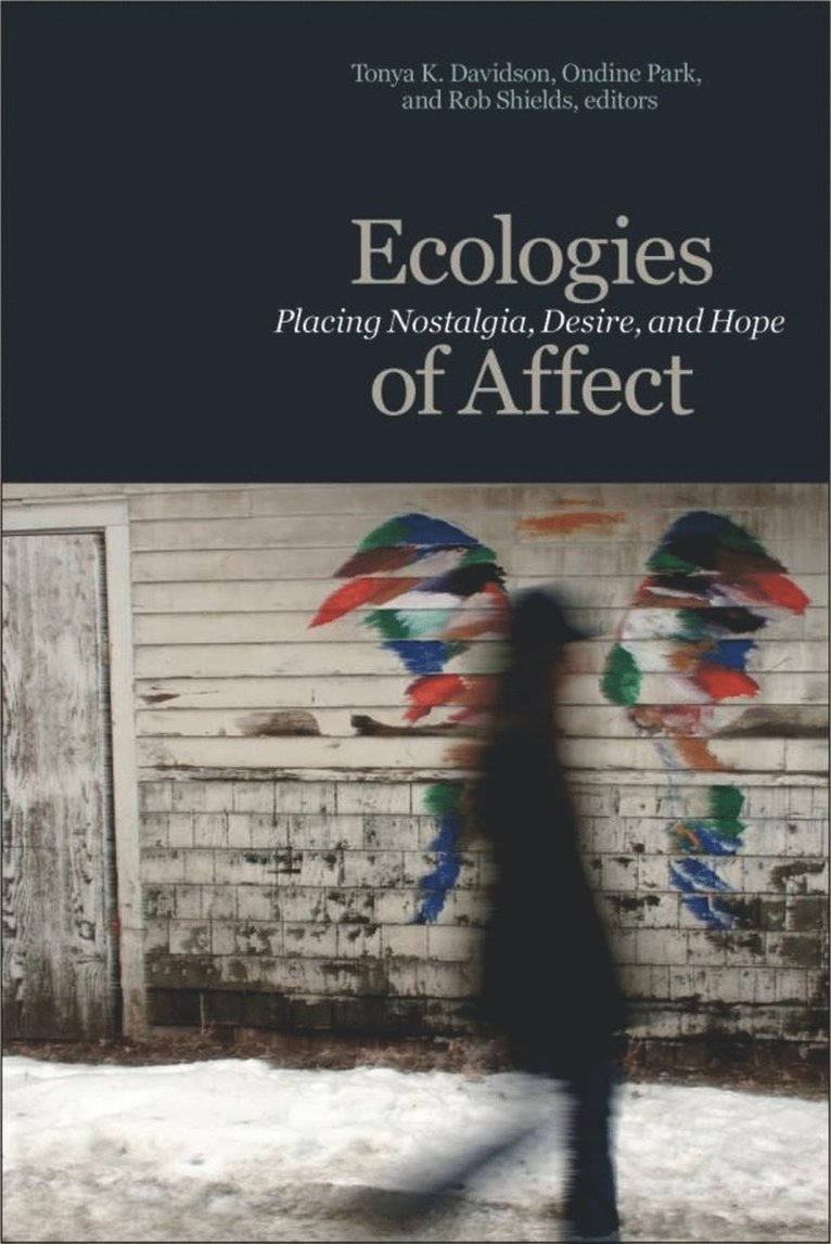 Tonya K. Davidson, Ondine Park, Rob Shields, Tonya K Davidson - Ecologies of Affect, Häftad