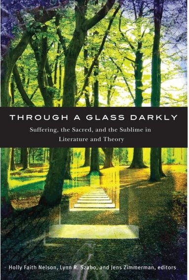 Holly Faith Nelson, Lynn R. Szabo, Jens Zimmermann - Through a Glass Darkly, Häftad