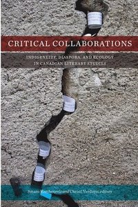 bokomslag Critical Collaborations