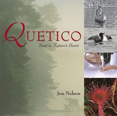 Quetico 1