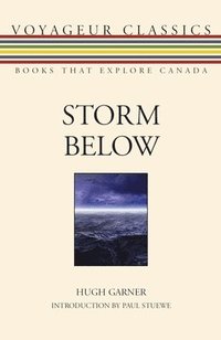 bokomslag Storm Below