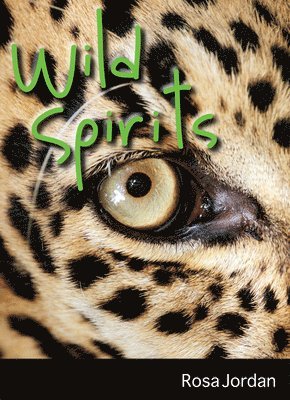 bokomslag Wild Spirits