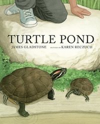 bokomslag Turtle Pond