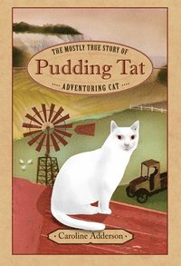 bokomslag The Mostly True Story of Pudding Tat, Adventuring Cat