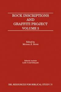 bokomslag Rock Inscriptions and Graffiti Project, Volume 3