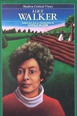 bokomslag Alice Walker