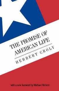 bokomslag The Promise Of American Life