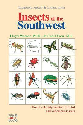 Werner/ols Werner/ols - Insects Of The Southwest, Häftad