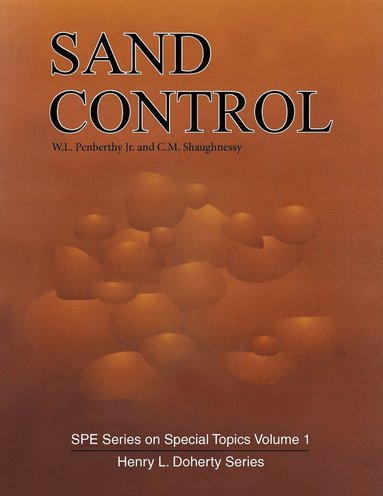 bokomslag Sand Control