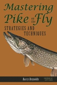 bokomslag Mastering Pike on the Fly