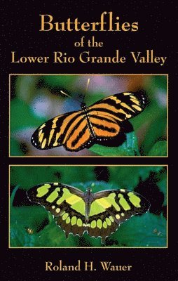 Roland H Wauer - Butterflies of the Lower Rio Grande Valley, Häftad