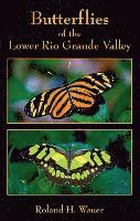 Roland H Wauer - Butterflies of the Lower Rio Grande Valley, Häftad