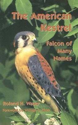 Roland H Wauer - American Kestrel, Häftad