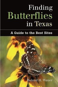 bokomslag Finding Butterflies in Texas