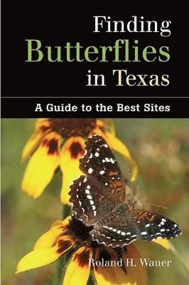 bokomslag Finding Butterflies in Texas