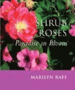 Shrub Roses: Paradise in Bloom 1