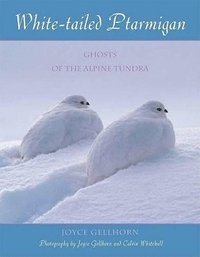 bokomslag White-Tailed Ptarmigan