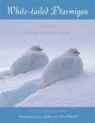 bokomslag White-Tailed Ptarmigan: Ghosts of the Alpine Tundra