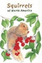 bokomslag Squirrels of North America