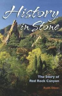 bokomslag History in Stone