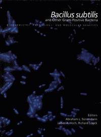 bokomslag Bacillus subtilis and Other Gram-Positive Bacteria