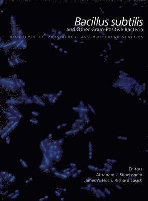 bokomslag Bacillus subtilis and other gram-positive bacteria