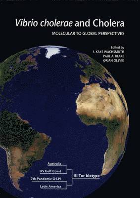 bokomslag Vibrio Cholerae and Cholera
