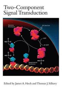 bokomslag Two-Component Signal Transduction