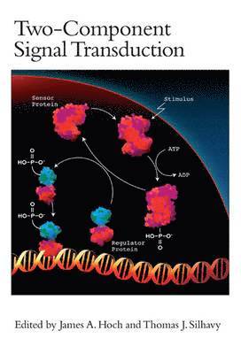 bokomslag Two-Component Signal Transduction