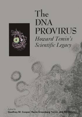 The DNA Provirus 1