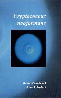 bokomslag Cryptococcus neoformans