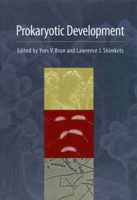 bokomslag Prokaryotic Development