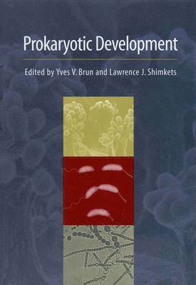 Prokaryotic Development 1